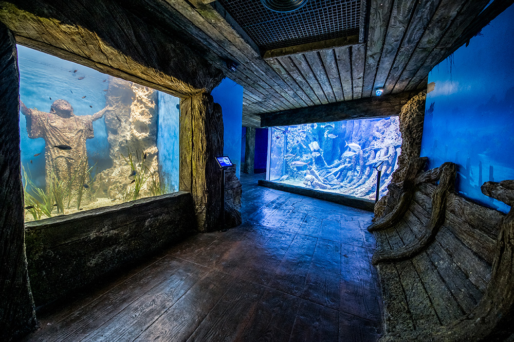 Malta for Kids - National Aquarium